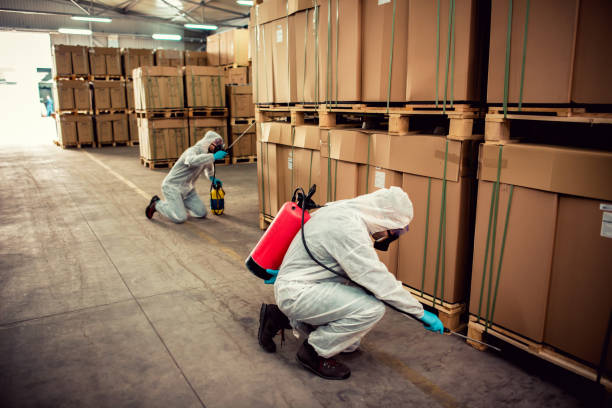  New Market, VA Pest Control Pros