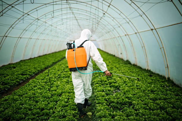 Best Affordable Pest Control Services  in New Market, VA