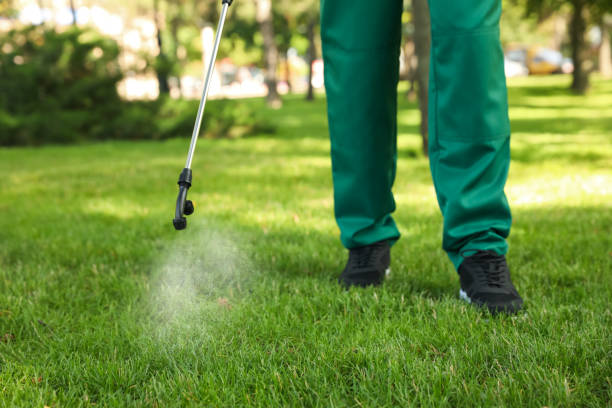 Best Mosquito Control Services  in New Market, VA