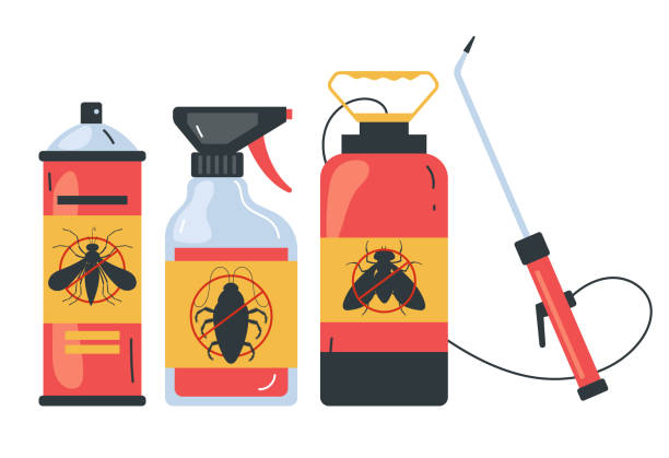 Trusted New Market, VA Pest Control Experts